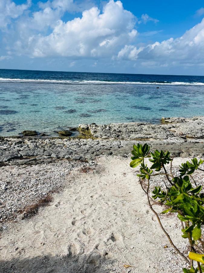 Bungalow Kura Moorea Ngoại thất bức ảnh