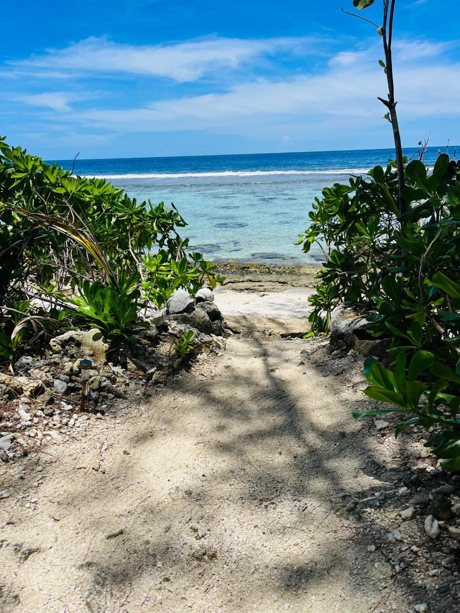 Bungalow Kura Moorea Ngoại thất bức ảnh