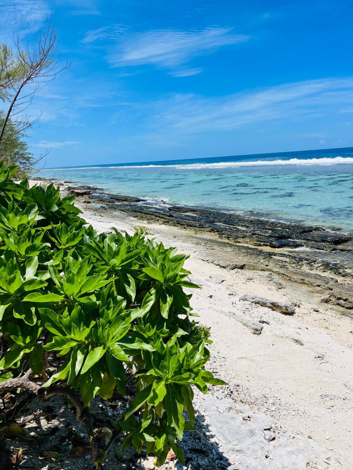 Bungalow Kura Moorea Ngoại thất bức ảnh